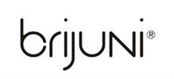 婉洋合作客戶-brijini