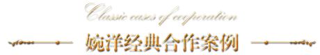 婉洋經(jīng)典合作案例