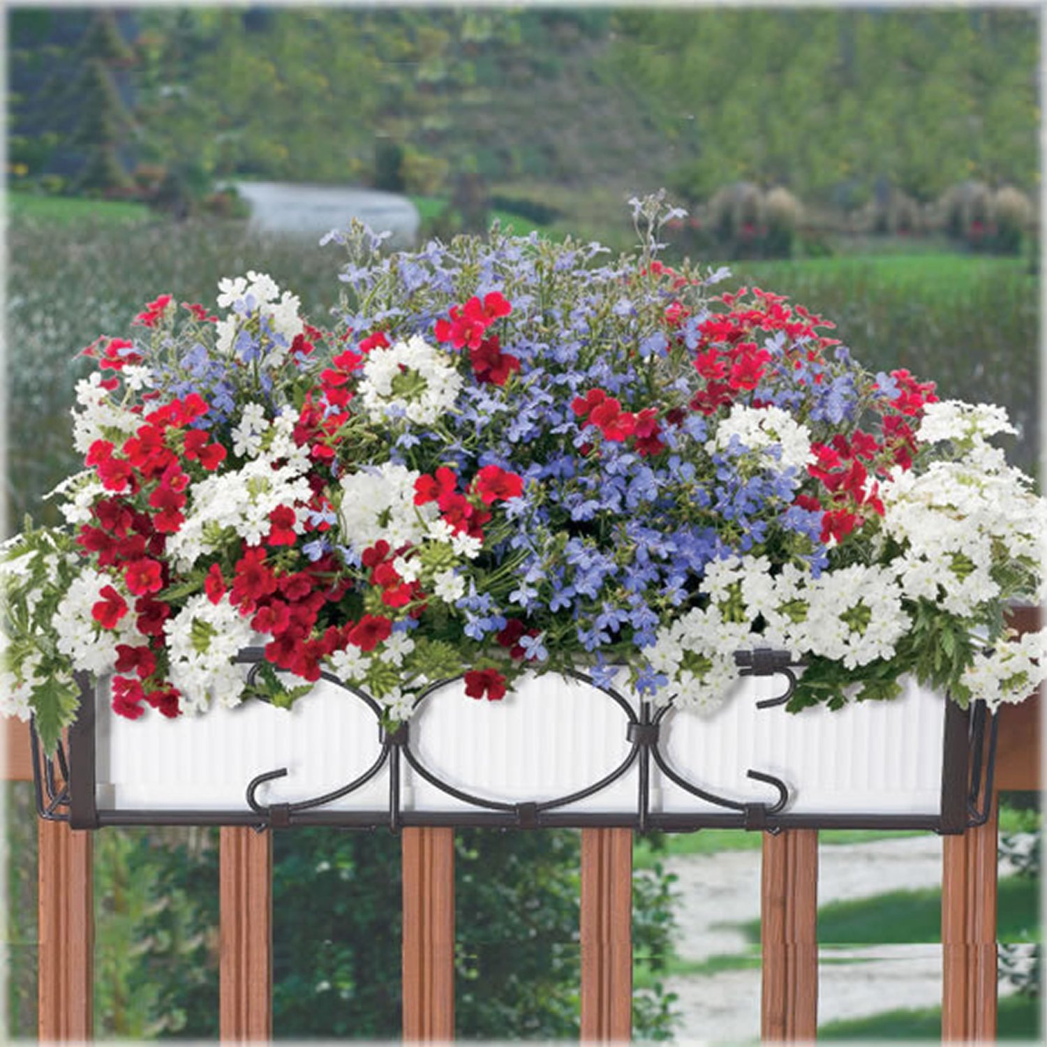 壁掛式鐵藝花架