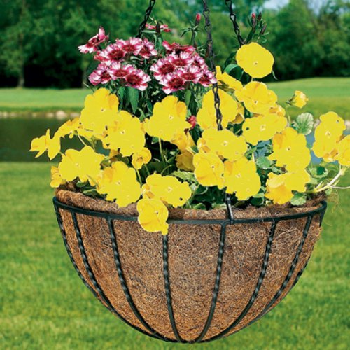 吊蘭鐵藝花架定制