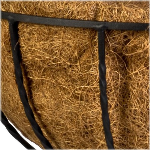 吊蘭鐵藝花架廠家