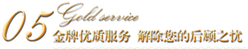 金牌優(yōu)質服務